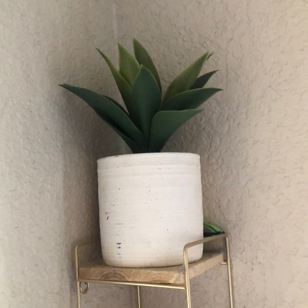 Fake plant